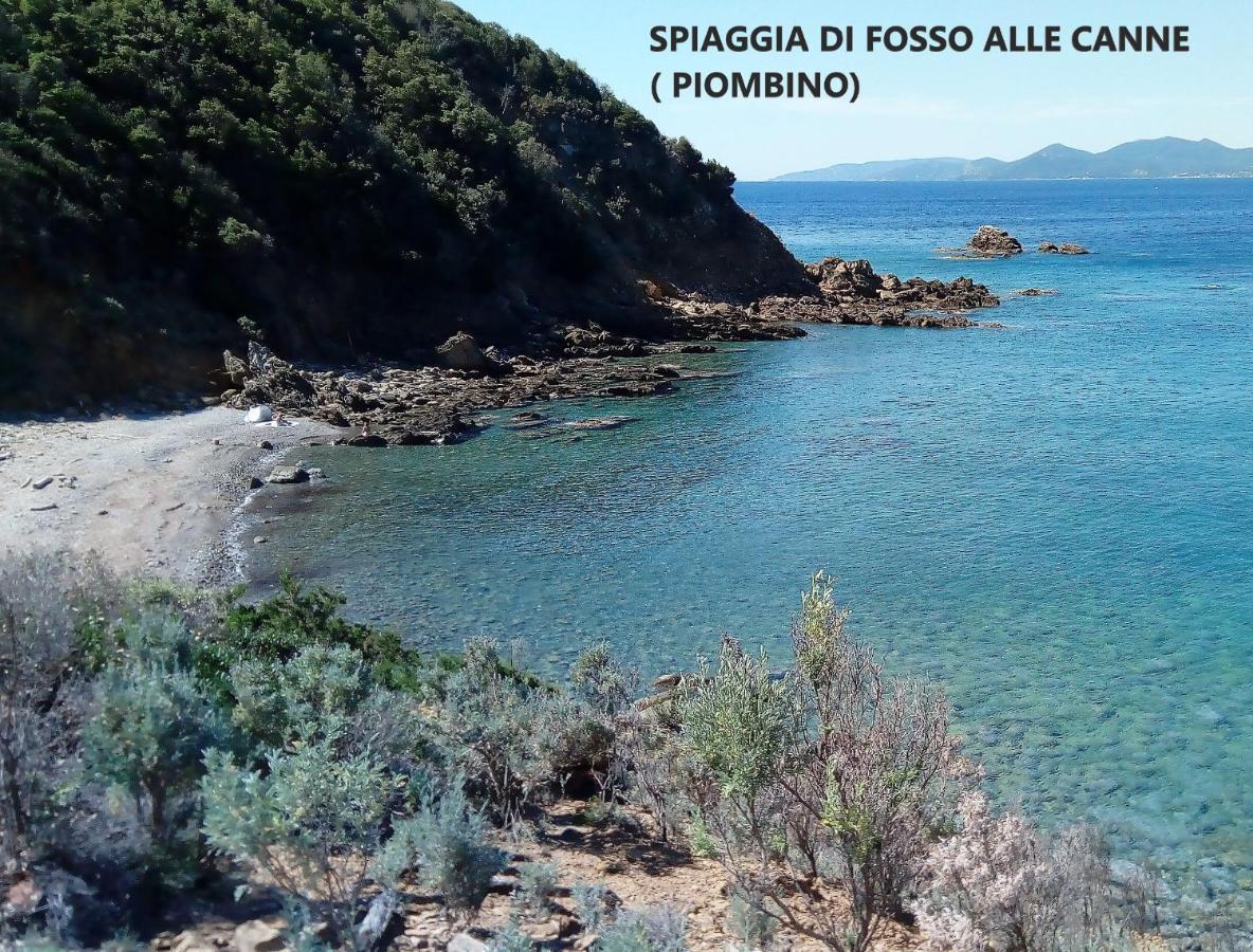 Spazio-Confort-Fitness Piombino Eksteriør bilde