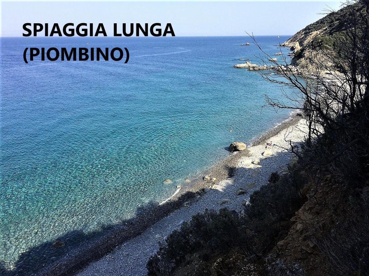 Spazio-Confort-Fitness Piombino Eksteriør bilde