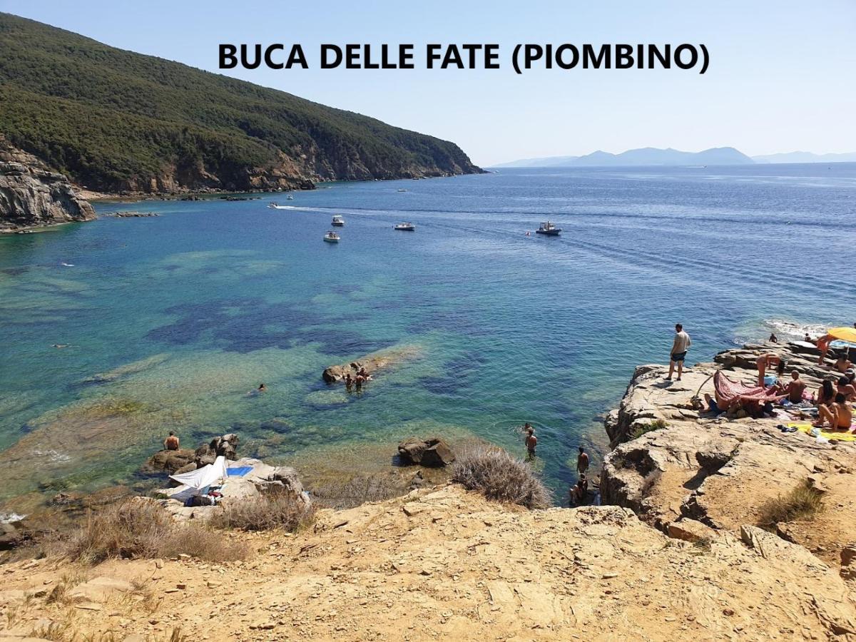 Spazio-Confort-Fitness Piombino Eksteriør bilde